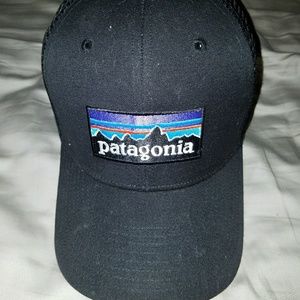 Patagonia logo hat